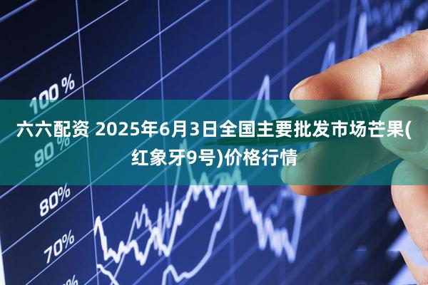 六六配资 2025年6月3日全国主要批发市场芒果(红象牙9号)价格行情