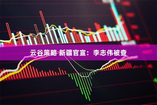 云谷策略 新疆官宣：李志伟被查