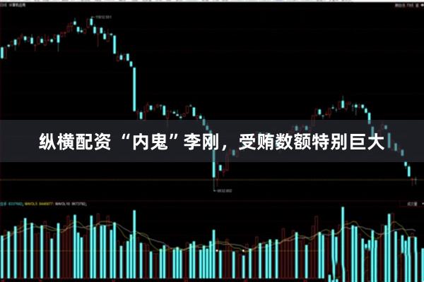 纵横配资 “内鬼”李刚，受贿数额特别巨大