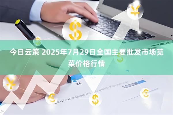 今日云策 2025年7月29日全国主要批发市场苋菜价格行情