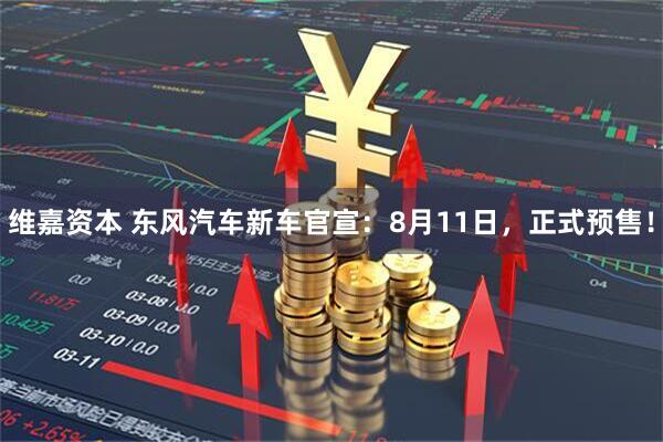 维嘉资本 东风汽车新车官宣：8月11日，正式预售！