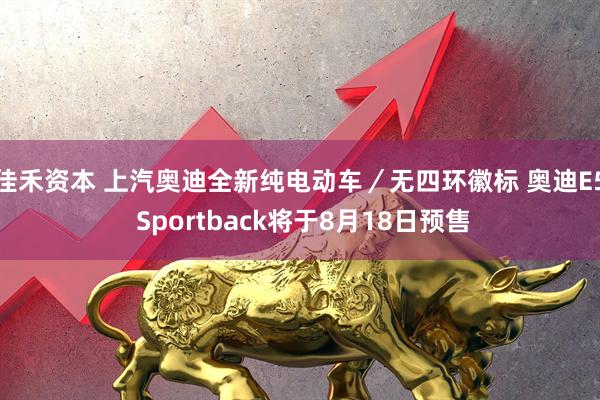 佳禾资本 上汽奥迪全新纯电动车／无四环徽标 奥迪E5 Sportback将于8月18日预售