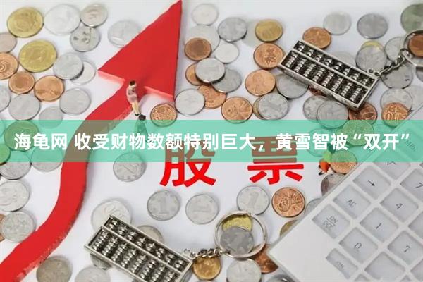 海龟网 收受财物数额特别巨大，黄雪智被“双开”