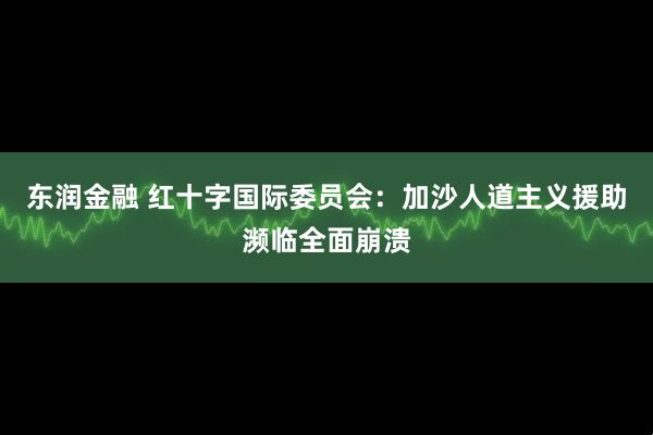东润金融 红十字国际委员会：加沙人道主义援助濒临全面崩溃
