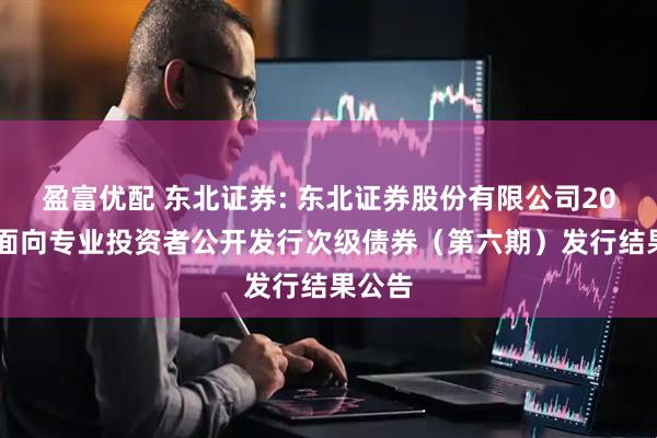盈富优配 东北证券: 东北证券股份有限公司2025年面向专业投资者公开发行次级债券（第六期）发行结果公告