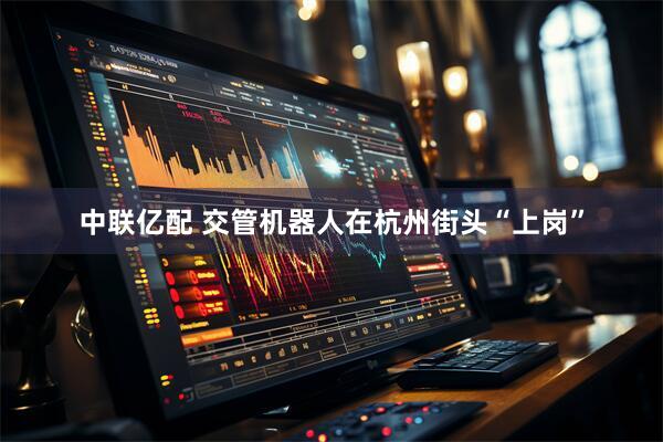 中联亿配 交管机器人在杭州街头“上岗”